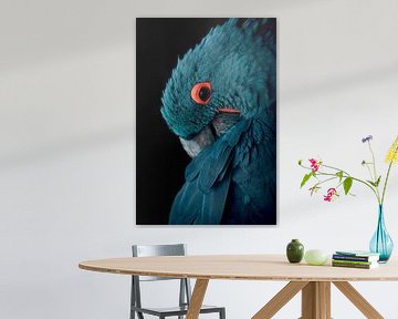 Blauwe ara vogel met vintage kleurstelling - Blauw - Papegaai - Ara - Kaketoe - Vogel - Vleugels - V van Designer