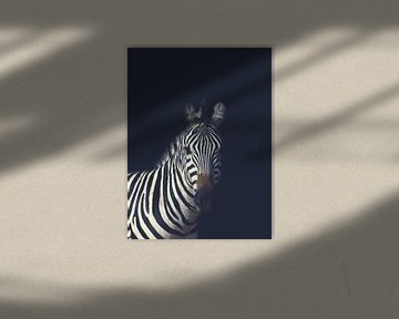 Dunkles Zebra von Designer