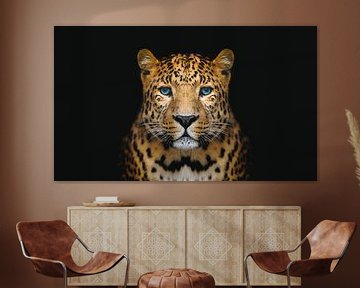 Panter tegen zwarte achtergrond - Panters - Dieren - Roofdieren - Portret - Panter - Panterprint van Designer