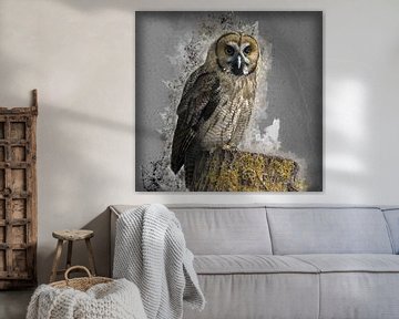 painting great-grey-owl-hybrid-hs3016287 van HMS