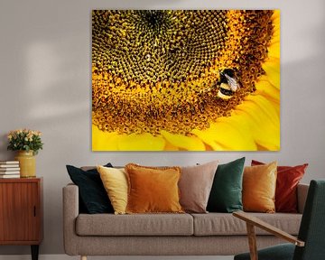 Hummel auf Sonnenblume von Stijn Cleynhens
