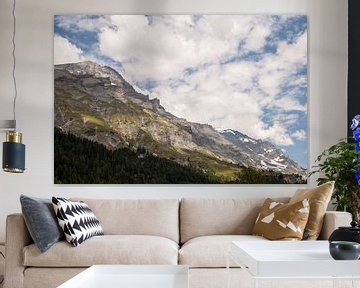 Schweizer Berge von Sander de Jong