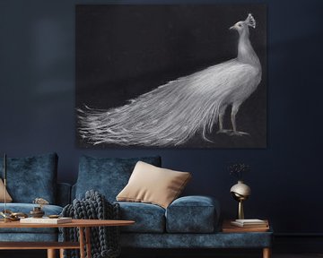 White peacock by Rosita Boeding