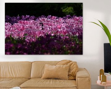 Tulips in sunlight by Raymond Schuurhannes