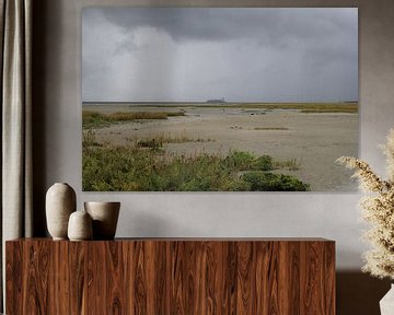 le marais salé le long de l'Escaut occidental à marée basse en hiver par un jour de tempête sur Angelique Nijssen