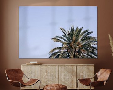Gouden palm (horizontaal) van Daniel Houben