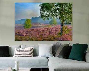 Plantes de bruyère en fleurs dans le paysage des landes au lever du soleil sur Sjoerd van der Wal Photographie