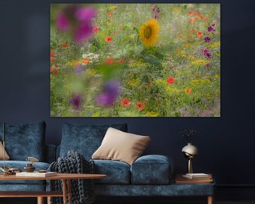 Feldblumen von Moetwil en van Dijk - Fotografie