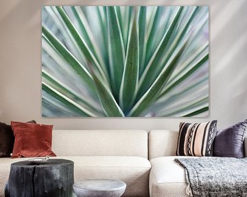 Grafische Agave von Karel Ham