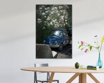 Fiat 500 bedolven door Oleander van Karel Ham
