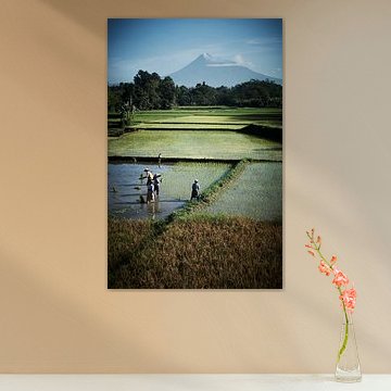 Arbeiter im Reisfeld Java von Karel Ham