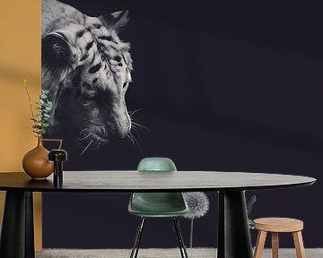 Tiger with colibri on black background and vintage filter by Designer