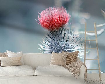 Thistle by Jelte Bosma