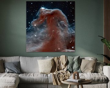 Hubble Photo of a Nebula van Brian Morgan