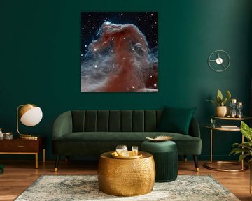Hubble Photo of a Nebula van Brian Morgan