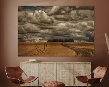 landscape somme in france by anne droogsma