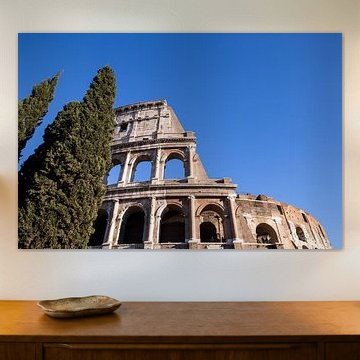 Kolosseum mit Bäumen