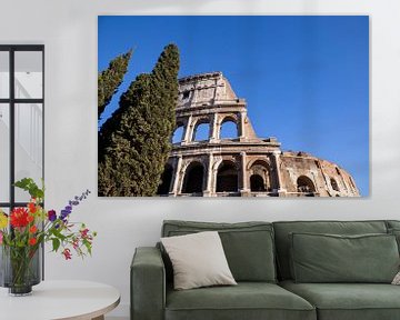 Colosseum met bomen van Sander de Jong