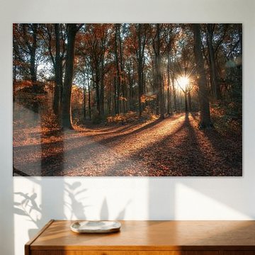 Sunpath sur Rogier Kwikkers