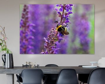 Hommel op paarse Salvia bloemen van Jolanta Mayerberg