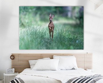 Running young roe deer