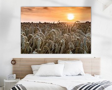 Getreide bei Sonnenuntergang von Dennis Dijkstra