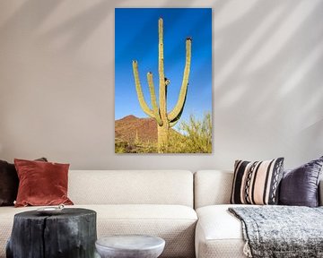 SAGUARO NATIONAAL PARK Reuze Saguaro Cactus van Melanie Viola