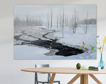 Besneeuwde dennenbomen in Lapland, Finland van AGAMI Photo Agency