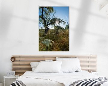 Fruitboom in de zomer van Moetwil en van Dijk - Fotografie