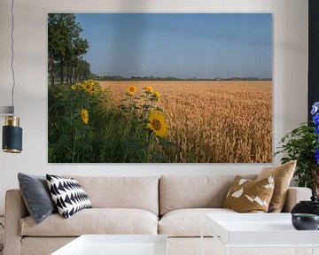 Tournesols le long des champs de céréales sur Moetwil en van Dijk - Fotografie