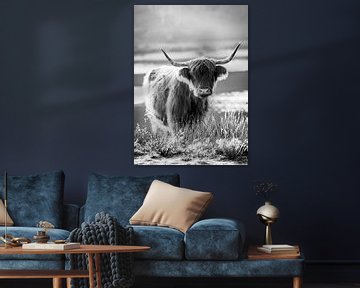 Portrait of a Scottish Cattle by Evelien Oerlemans