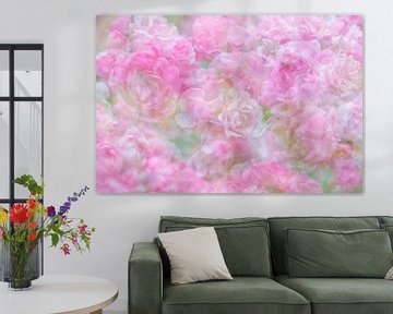 Dromerige roze rozen van Francis Dost