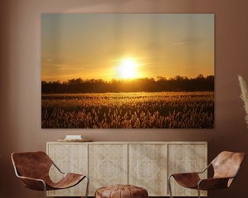 sunset veluwe by philip egmond vanwaesberge