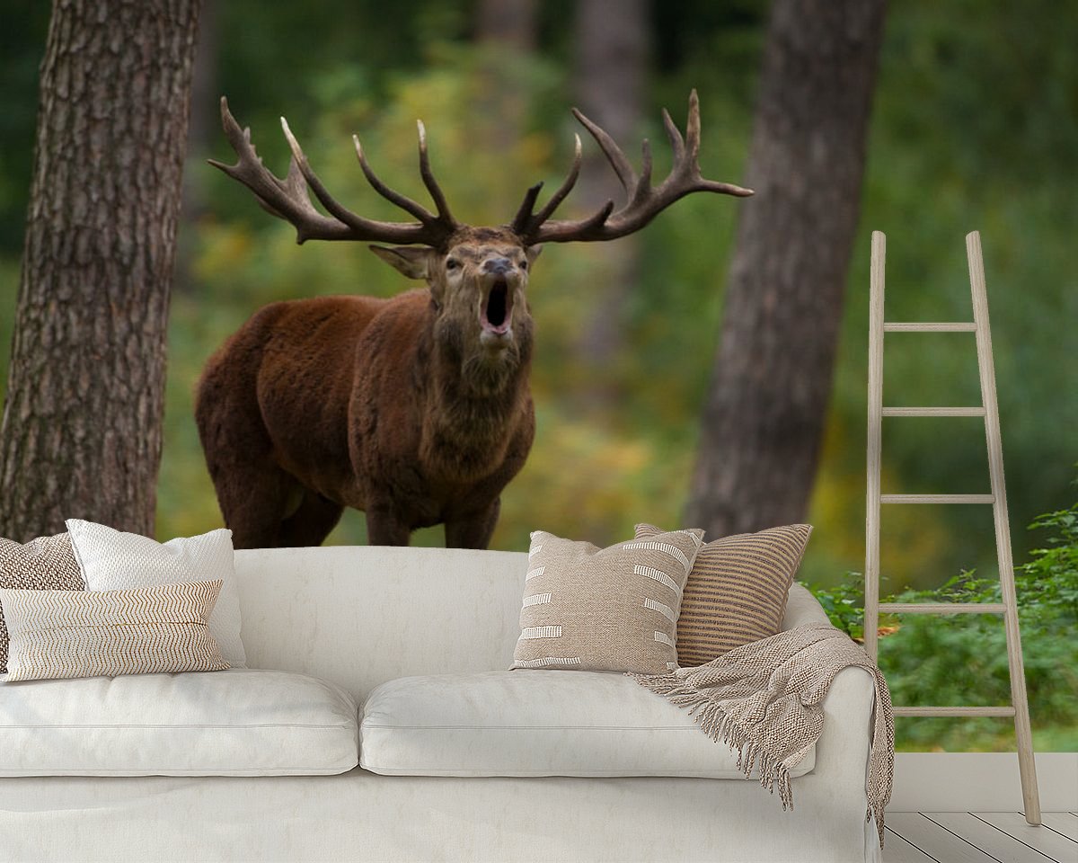 Raumvorschau