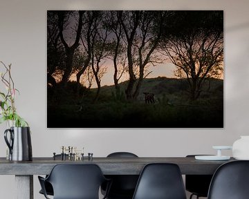 Wisent (Europese Bizon) in het Kraansvlak in Nationaal Park Zuid-Kennemerland van Jeroen Stel