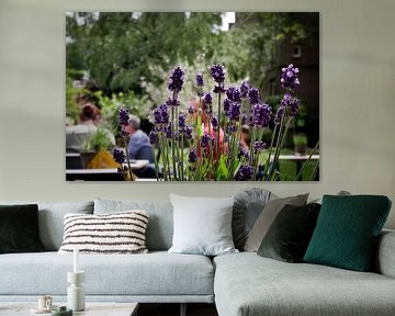 Utrech - Oude Hortus terras met lavendel op de voorgrond van Wout van den Berg