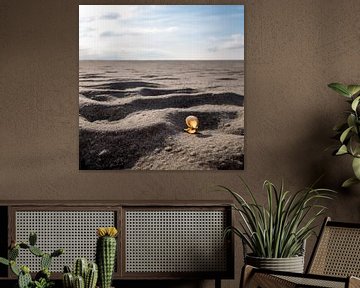 Zonaanbiedster op het Wad van Peter van der Werf