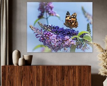 Distelvlinder op vlinderstruik van Ingrid Aanen