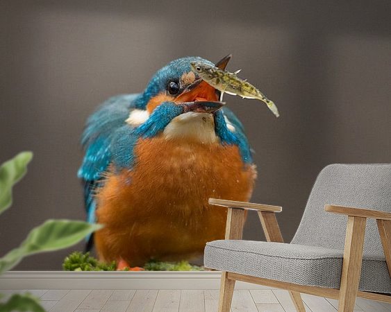 Raumvorschau
