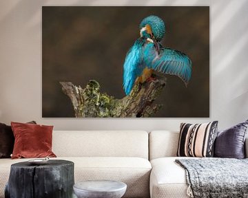 Kingfisher photographed in the Throw by Jeroen Stel