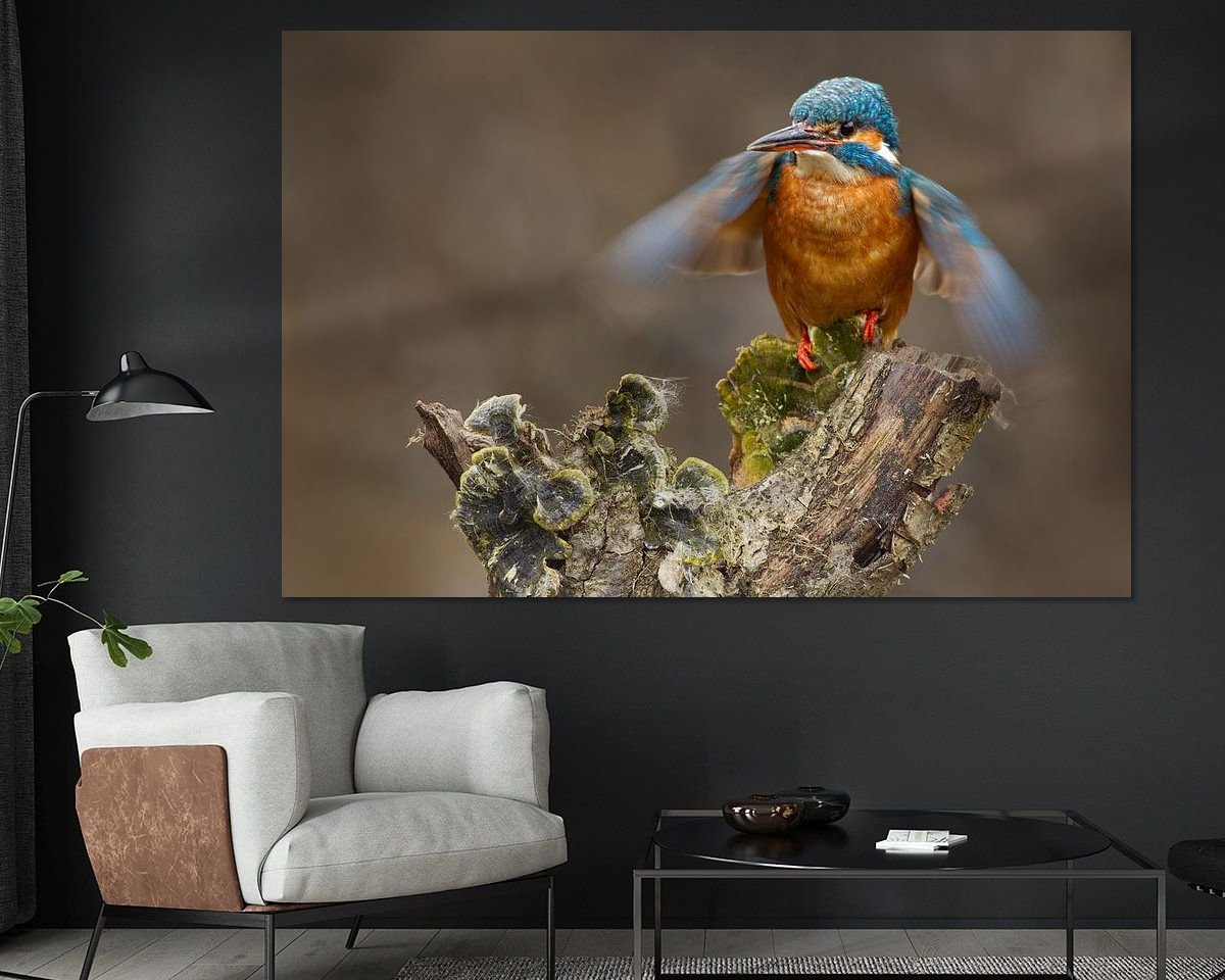 Raumvorschau