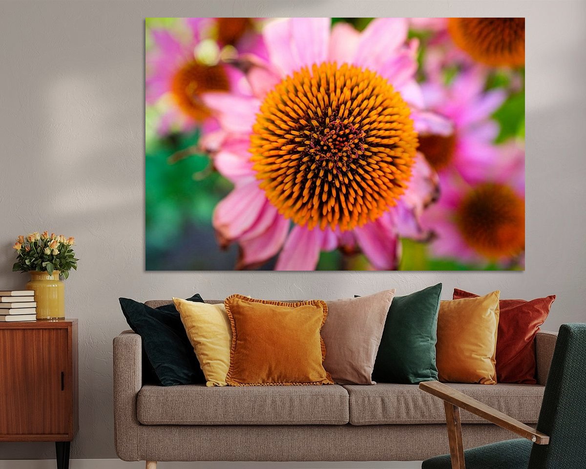 Raumvorschau