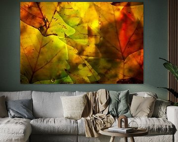 Herfstbladeren 9