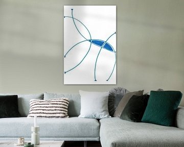 Insect with long legs