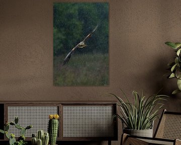 Red Kite in flight in a rainstorm by Jeroen Stel