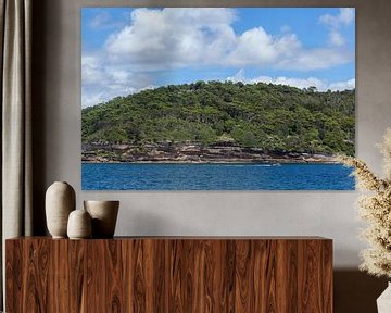 Der Blick vom Sydney Harbour auf Fairfax. North Head, North Head, Quarantänestation Nationalpark, Sy von Tjeerd Kruse