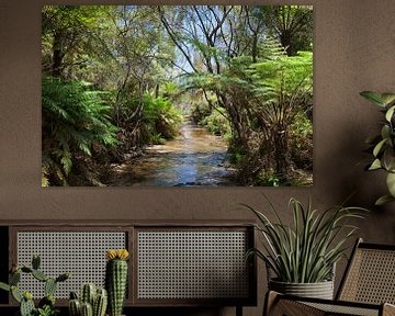 Regenwald und Wasserfall in den Blue Mountains, New South Wales, Australien von Tjeerd Kruse