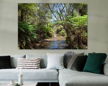 Regenwald und Wasserfall in den Blue Mountains, New South Wales, Australien von Tjeerd Kruse