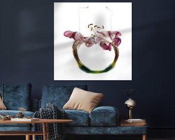Amaryllis 6
