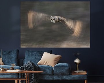 Eagle owl in flight by Jeroen Stel